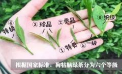 白梅花茶儲存方法