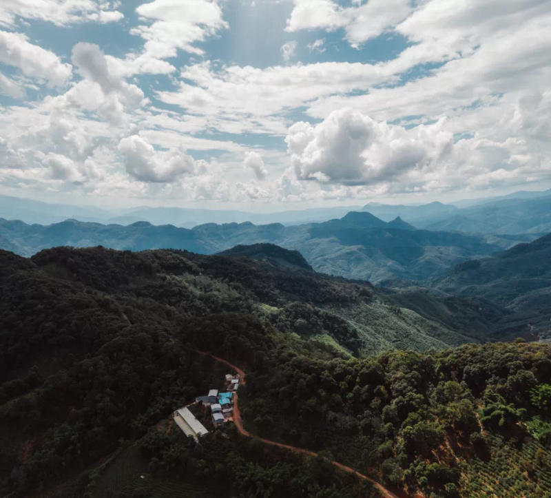 正皓茶經(jīng)典回歸丨致敬先輩茶人崢嶸歲月的《易武正山》正式上市