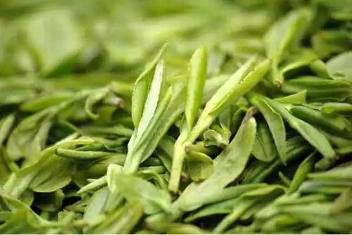 杭州擬為保護(hù)西湖龍井茶立法，違規(guī)使用專(zhuān)用標(biāo)識(shí)最高罰五萬(wàn)