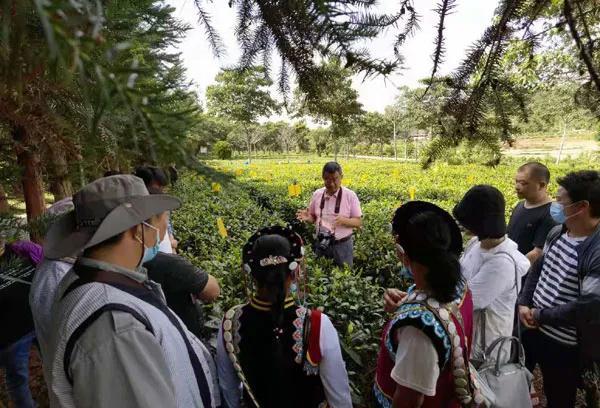 怒江州貢山縣林草局組織相關(guān)企業(yè)鄉(xiāng)鎮(zhèn)和茶農(nóng)到茶葉所培訓(xùn)考察