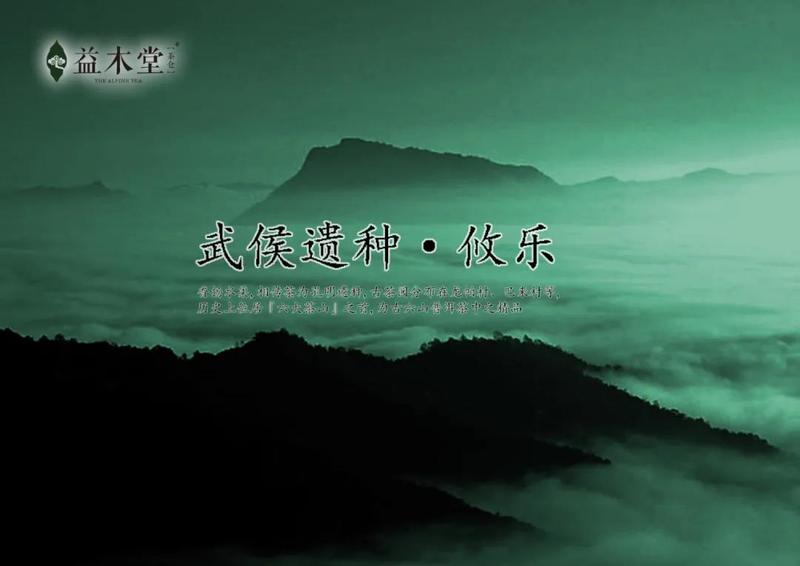 益木堂“江內(nèi)正山”系列——正山·攸樂(lè)