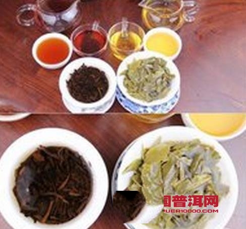 普洱生茶與熟茶能否一起存放