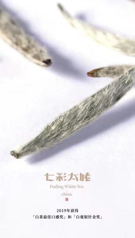 福鼎白茶企業(yè)賞析：福鼎七彩太姥生態(tài)農業(yè)發(fā)展有限公司