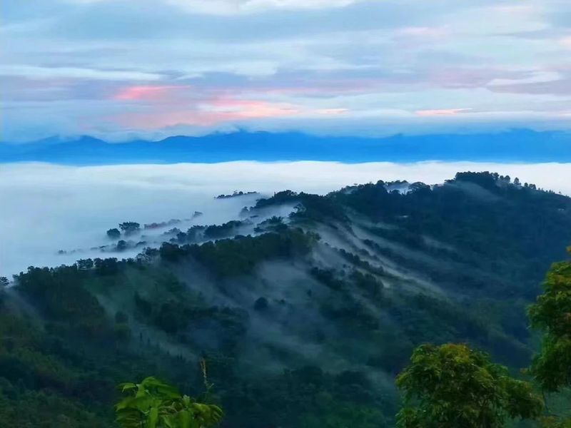 景邁山柏聯(lián)普洱茶莊園，遇見(jiàn) 即是一生