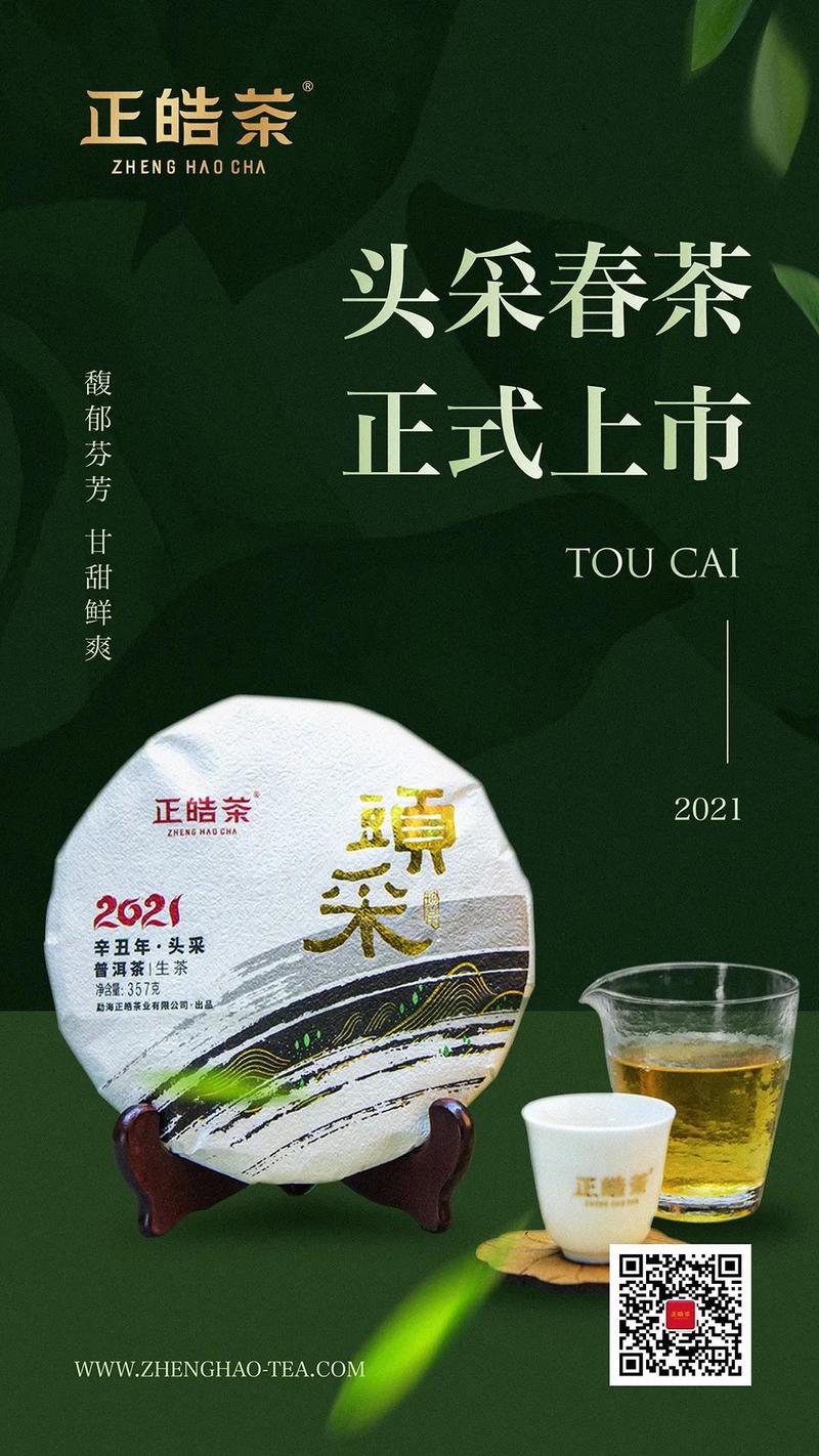 采頭春之精品，呈經(jīng)典之韻味丨正皓2021【頭采】正式上市