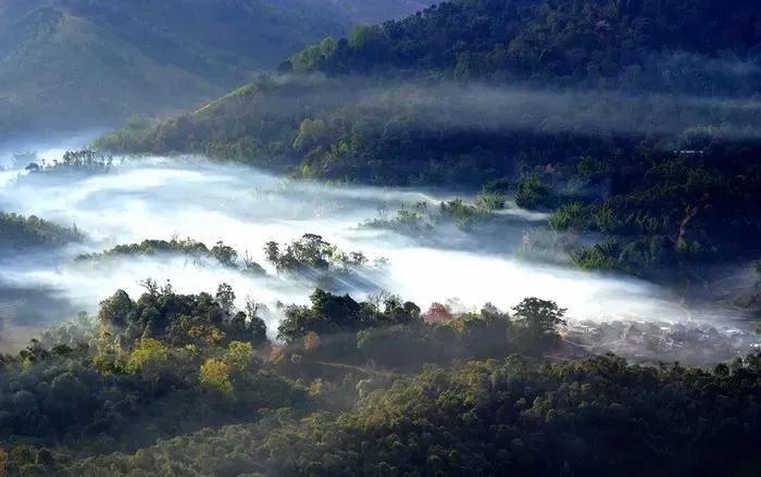 勐?？h布朗山鄉(xiāng)：守住綠水青山，才能有好茶山