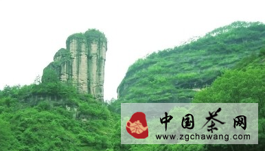 福建茶區(qū)茶文化旅游線路國(guó)慶長(zhǎng)假大熱