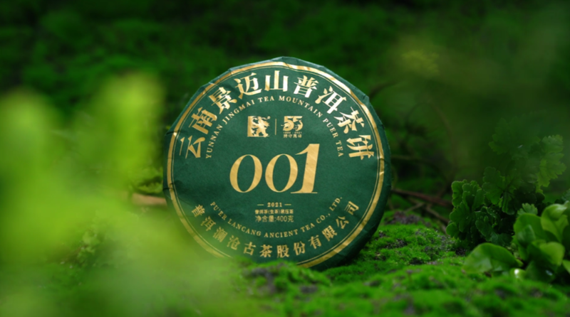 瀾滄古茶2021年景邁春茶001，來了！