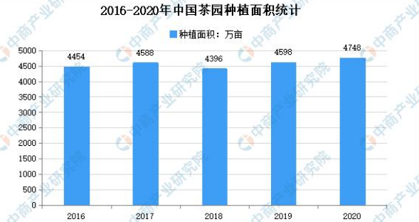 2021年中國(guó)茶產(chǎn)業(yè)市場(chǎng)現(xiàn)狀分析：茶園種植面積增長(zhǎng)3.26%