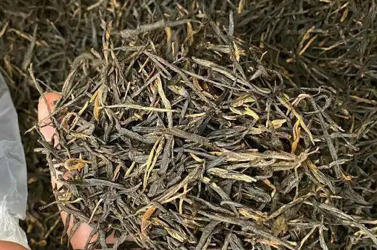 松針紅茶是什么茶，云南滇紅松針簡介