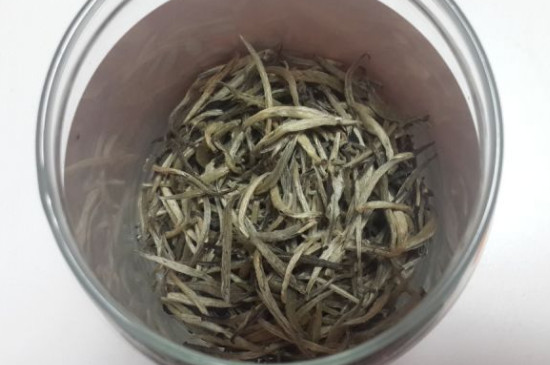 古樹銀芽是什么茶，銀芽茶屬于什么茶？