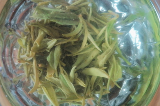 喝綠茶的十大功效，綠茶功能主治