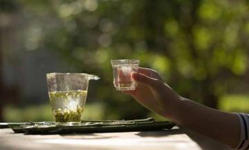 茶有風情萬種，正如人生百態(tài)，終究苦后回甘