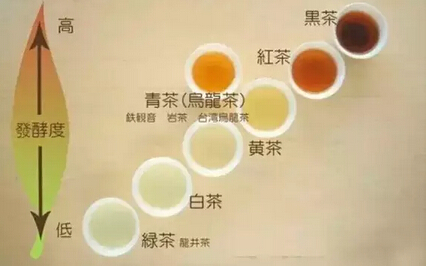 最全茶葉沖泡法，愛茶人必知