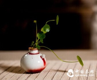 茶，等的是你；你，找的是茶