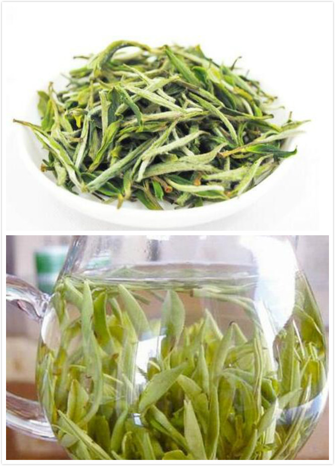 黃山毛峰屬于什么茶？茶庫網(wǎng)為你分析