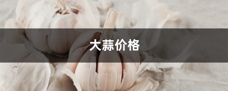 大蒜價(jià)格，大蒜多少錢一斤