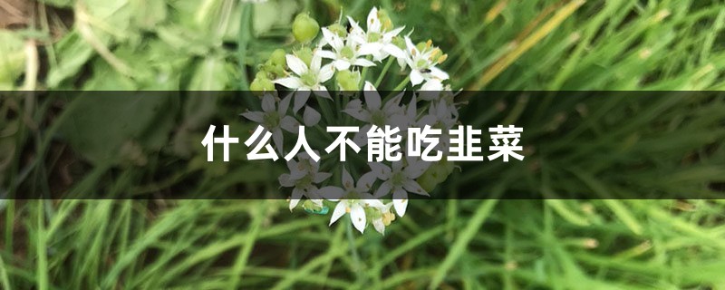 什么人不能吃韭菜，痛風(fēng)能吃韭菜嗎