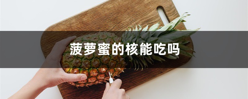 菠蘿蜜的核能吃嗎