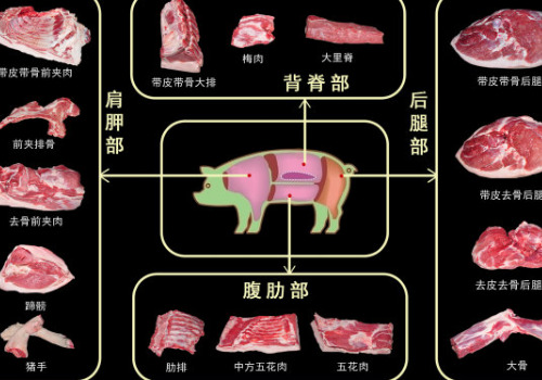 黑毛豬好吃還是白毛豬好吃 區(qū)別是什么