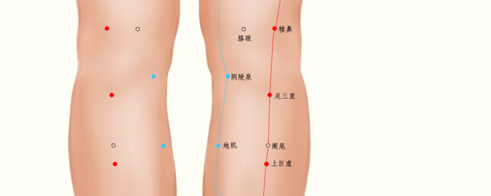 陰陵泉穴位的準(zhǔn)確位置圖