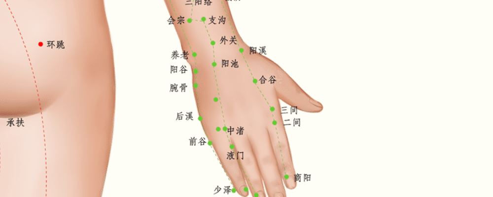 合谷穴位的準(zhǔn)確位置圖