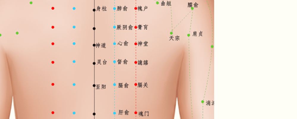 俞穴位的準確位置圖