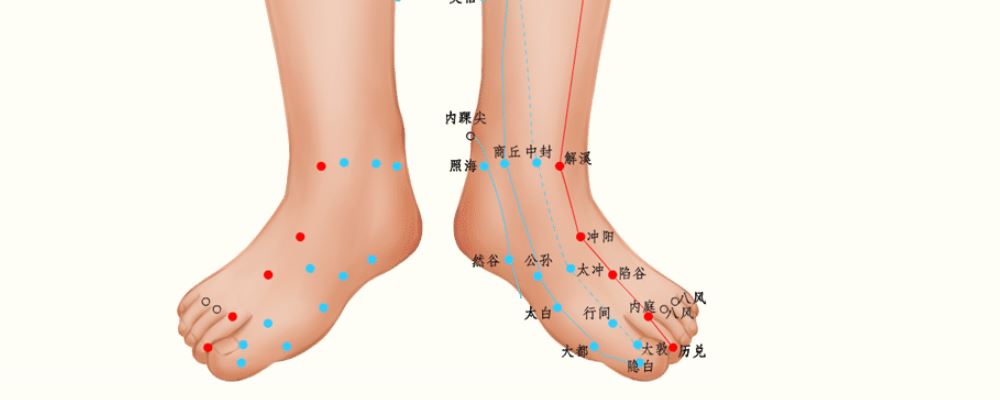 太沖穴位的準(zhǔn)確位置圖