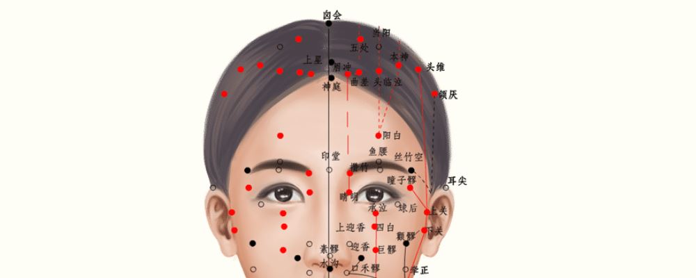 囟會(huì)穴位的準(zhǔn)確位置圖