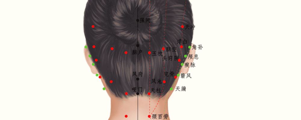 腦戶穴位的準(zhǔn)確位置圖