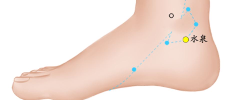 水泉穴位的準(zhǔn)確位置圖