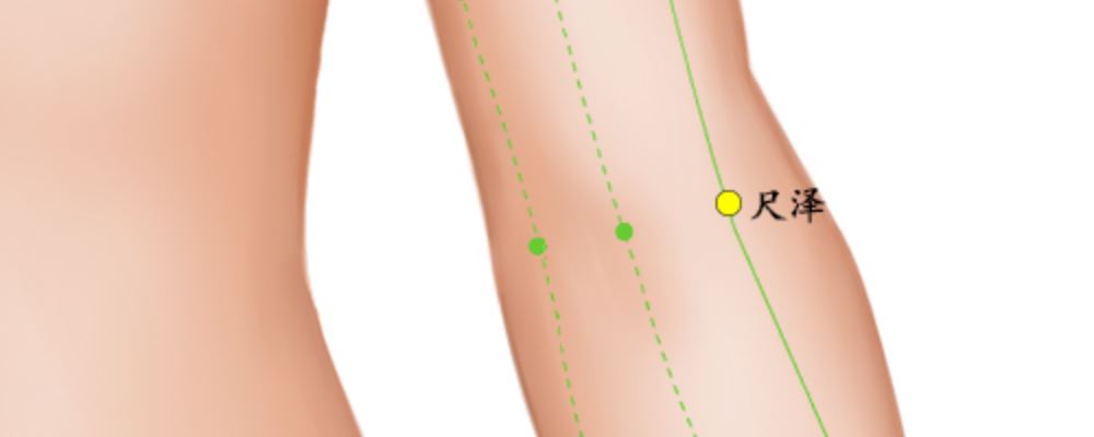 尺澤穴位的準(zhǔn)確位置圖