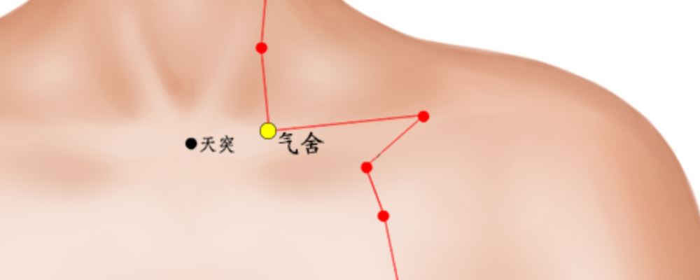 氣舍穴穴位的準確位置圖