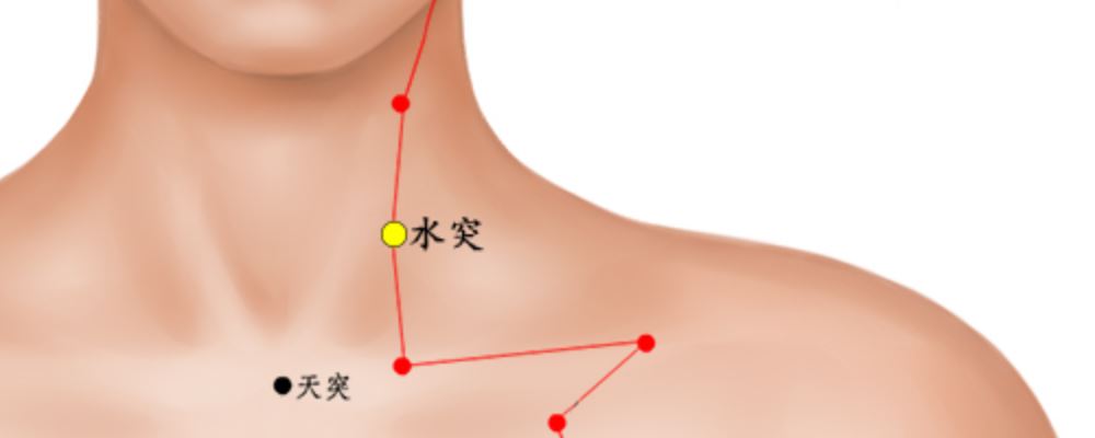 水突穴穴位的準(zhǔn)確位置圖