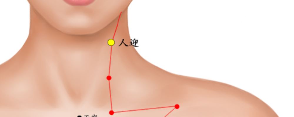 人迎穴穴位的準(zhǔn)確位置圖