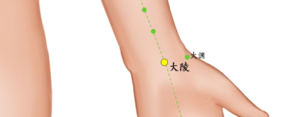 大陵穴穴位的準確位置圖及作用