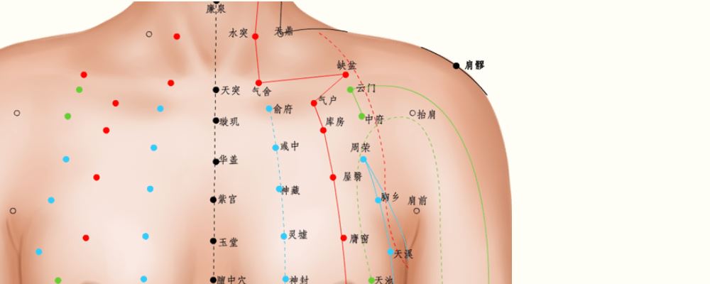 俞府穴位的準確位置圖