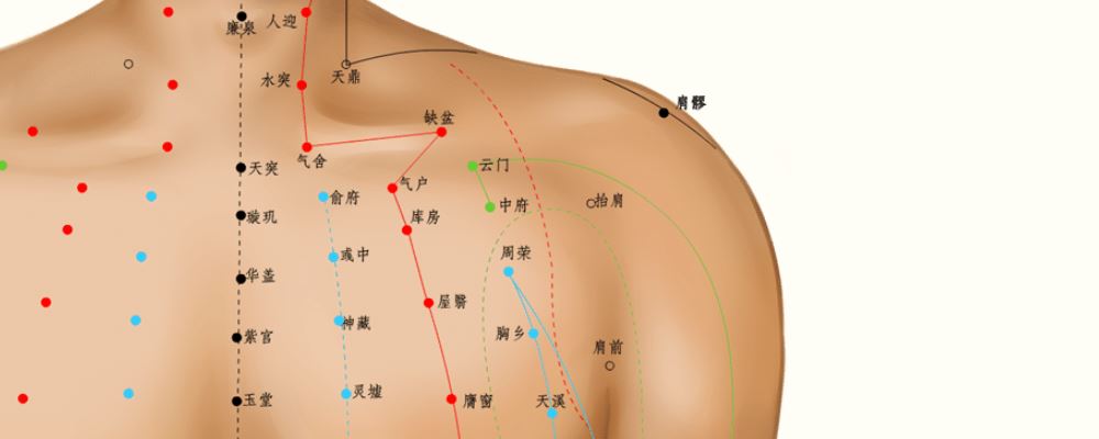 氣戶穴位的準確位置圖