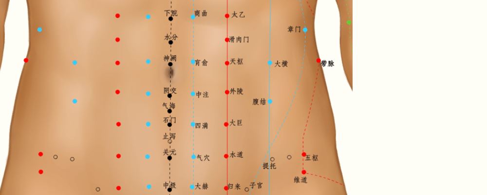 外陵穴位的準確位置圖