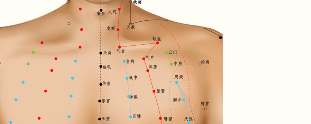 庫(kù)房穴位的準(zhǔn)確位置圖