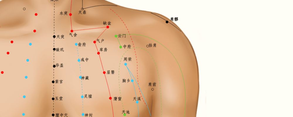 周榮穴位的準確位置圖