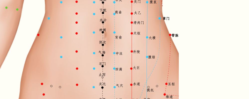 陰交穴位的準(zhǔn)確位置圖