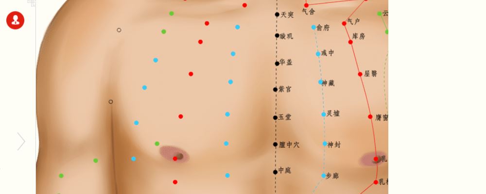 玉堂穴位的準確位置圖