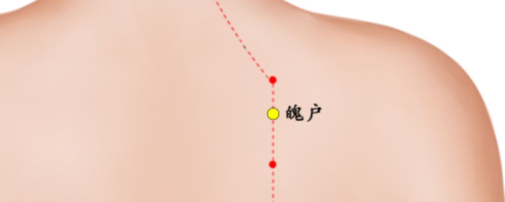 魄戶穴位的準(zhǔn)確位置圖