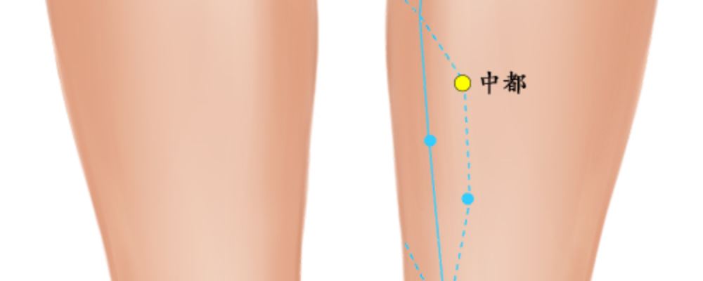 中都穴位的準(zhǔn)確位置圖