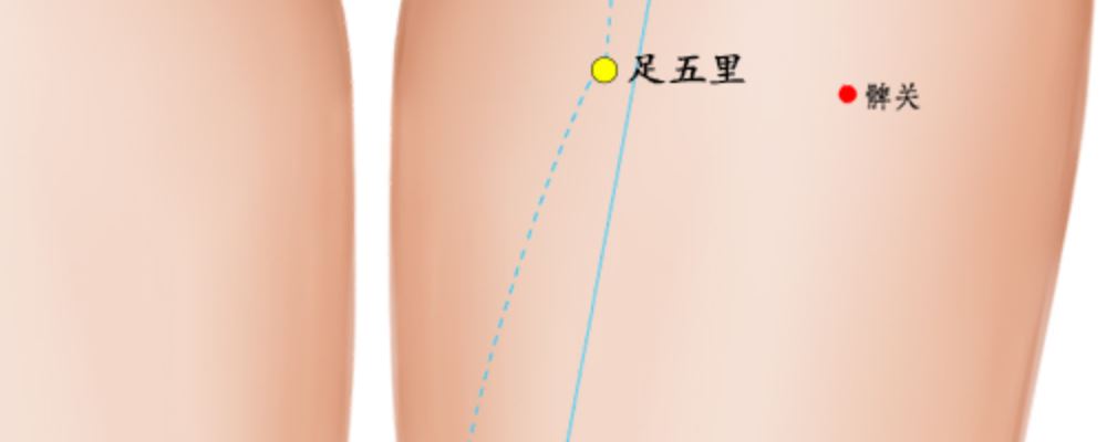 足五里穴位的準(zhǔn)確位置圖