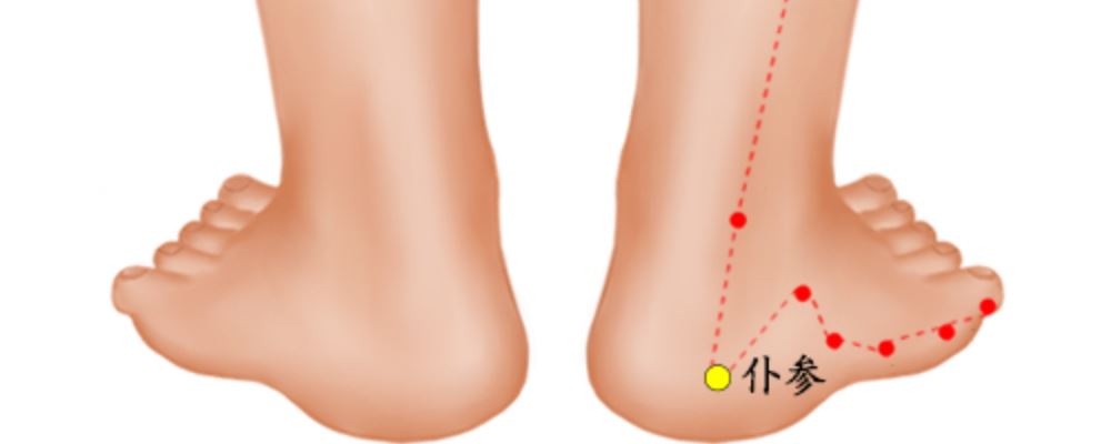 仆參穴位的準(zhǔn)確位置圖