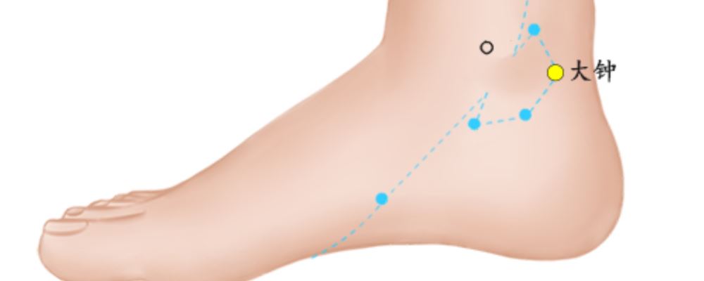 大鐘穴位的準(zhǔn)確位置圖
