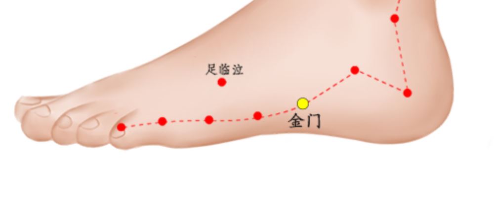 金門穴位的準(zhǔn)確位置圖