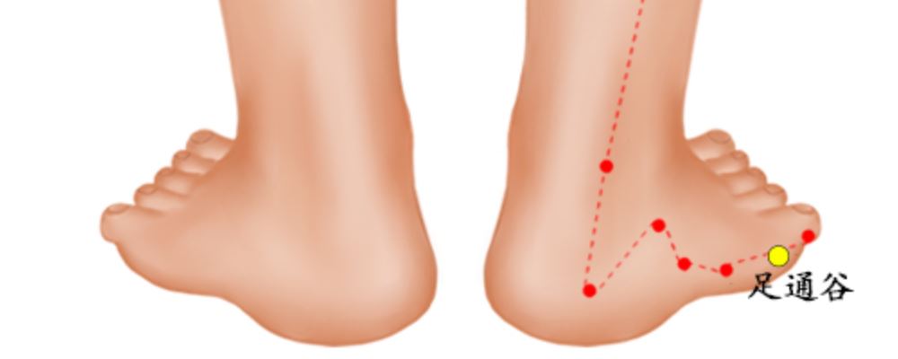 足通谷穴位的準(zhǔn)確位置圖
